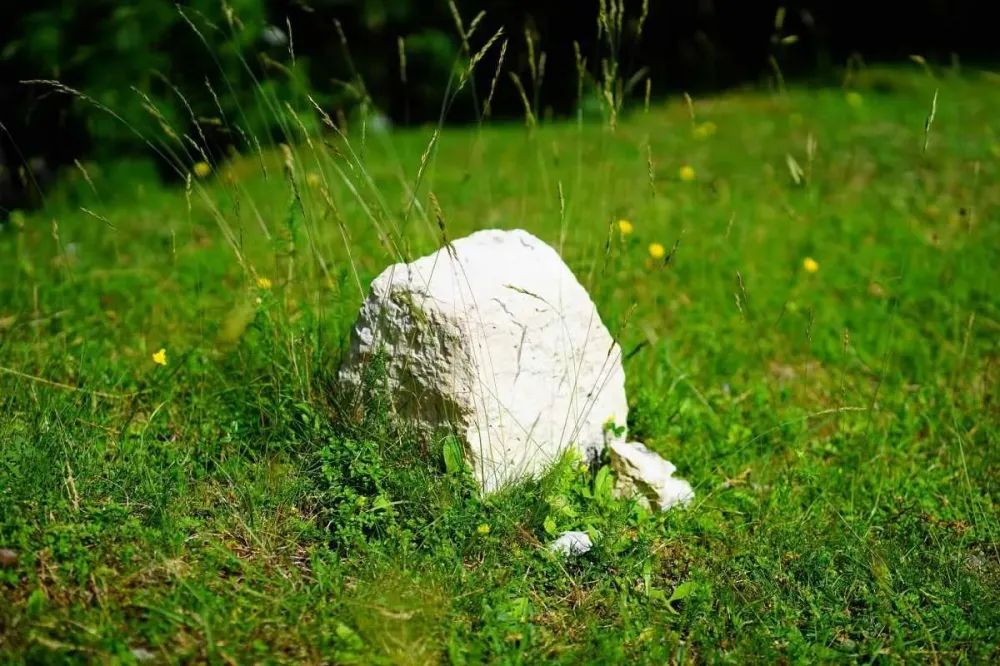 loi concernant le bornage de terrain